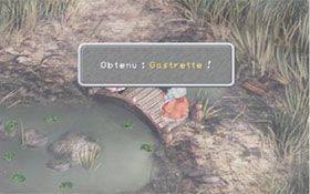 grenouilles3