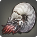 Ammonite