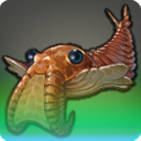 Anomalocaris