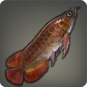 Arowana