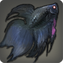 Betta assassin