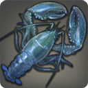 Cherax des cavernes