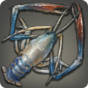 Crevette géante bleue