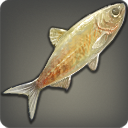Poisson aveugle