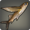 Poisson tempête